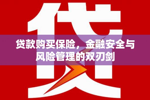 长洲贷款购买保险，金融安全与风险管理的双刃剑
