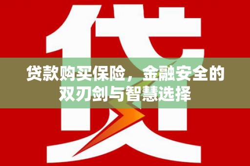长洲贷款购买保险，金融安全的双刃剑与智慧选择