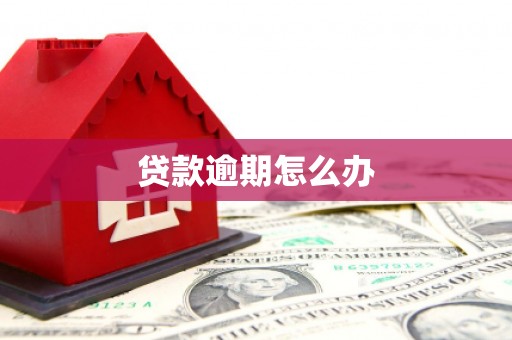 长洲贷款逾期怎么办