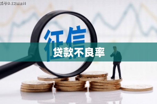 长洲贷款不良率