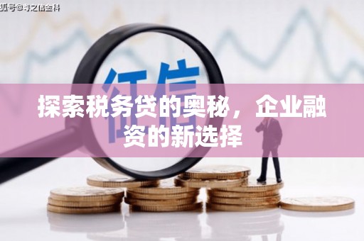 长洲探索税务贷的奥秘，企业融资的新选择