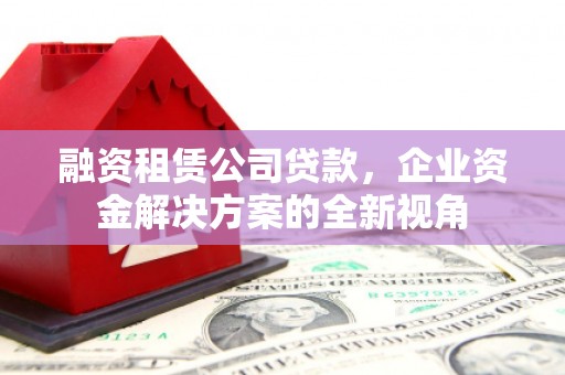 长洲融资租赁公司贷款，企业资金解决方案的全新视角