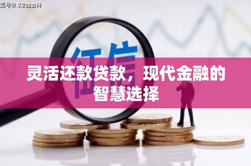 长洲灵活还款贷款，现代金融的智慧选择