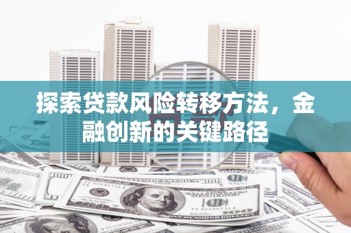 长洲探索贷款风险转移方法，金融创新的关键路径