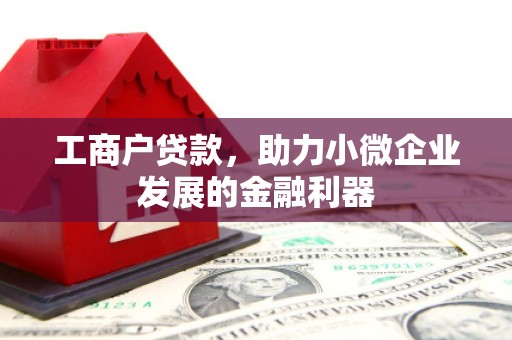 长洲工商户贷款，助力小微企业发展的金融利器