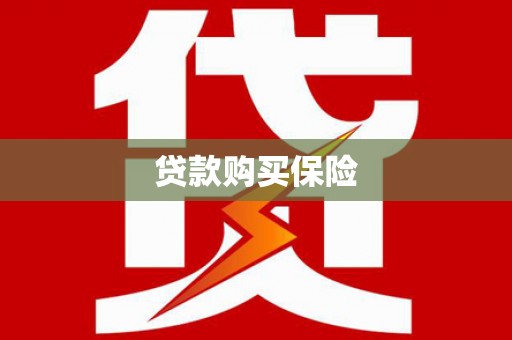 长洲贷款购买保险