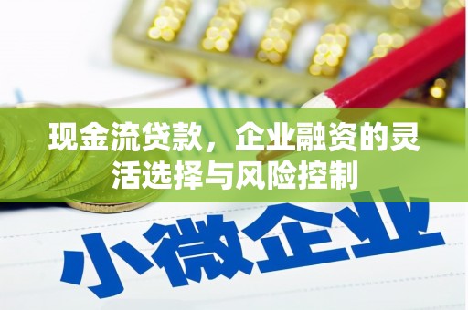 长洲现金流贷款，企业融资的灵活选择与风险控制