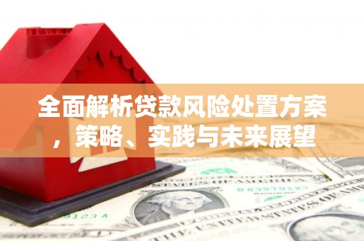 长洲全面解析贷款风险处置方案，策略、实践与未来展望