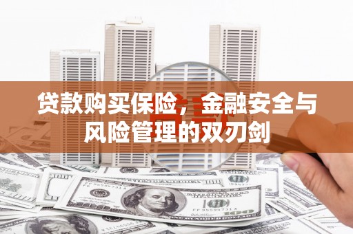 长洲贷款购买保险，金融安全与风险管理的双刃剑