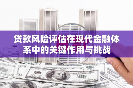 长洲贷款风险评估在现代金融体系中的关键作用与挑战