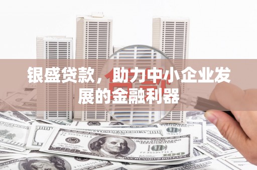 长洲银盛贷款，助力中小企业发展的金融利器