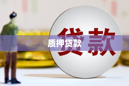 长洲质押贷款