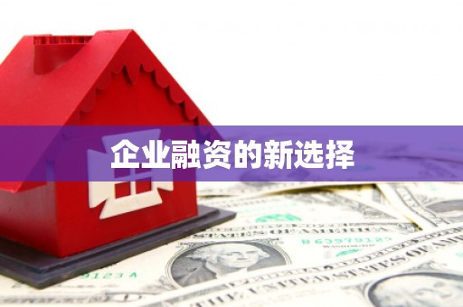 长洲企业融资的新选择