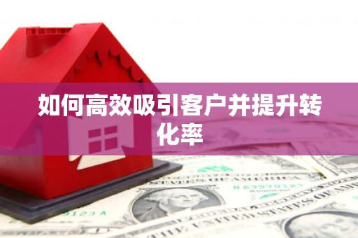 长洲如何高效吸引客户并提升转化率