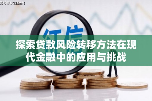 长洲探索贷款风险转移方法在现代金融中的应用与挑战