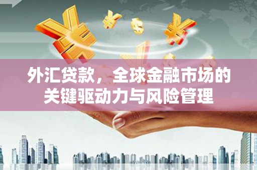 长洲外汇贷款，全球金融市场的关键驱动力与风险管理
