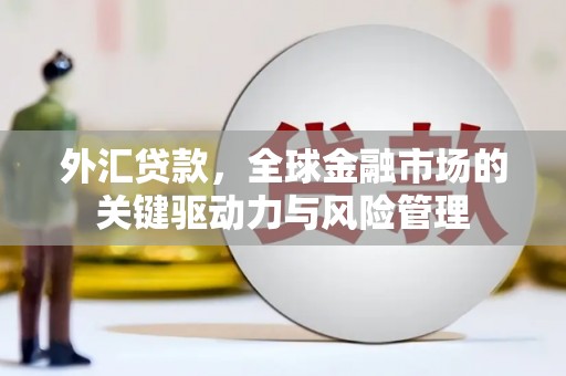 长洲外汇贷款，全球金融市场的关键驱动力与风险管理