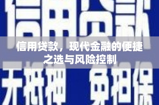 长洲信用贷款，现代金融的便捷之选与风险控制
