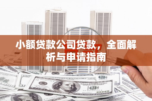 长洲小额贷款公司贷款，全面解析与申请指南