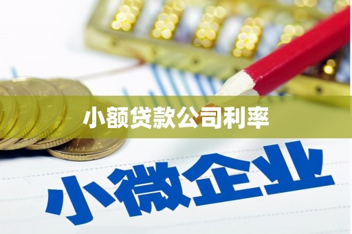 长洲小额贷款公司利率