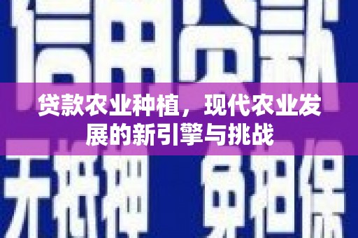 长洲贷款农业种植，现代农业发展的新引擎与挑战