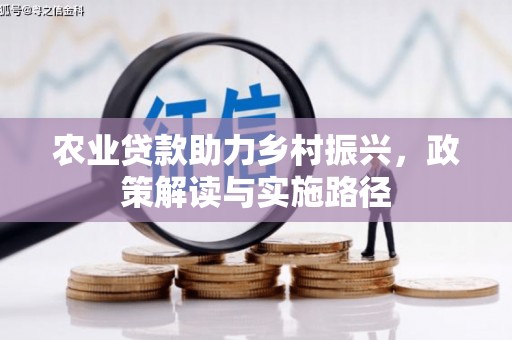 长洲农业贷款助力乡村振兴，政策解读与实施路径