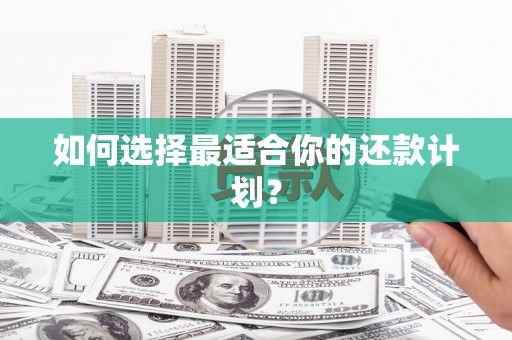 长洲如何选择最适合你的还款计划？