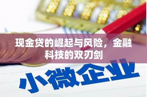 长洲现金贷的崛起与风险，金融科技的双刃剑