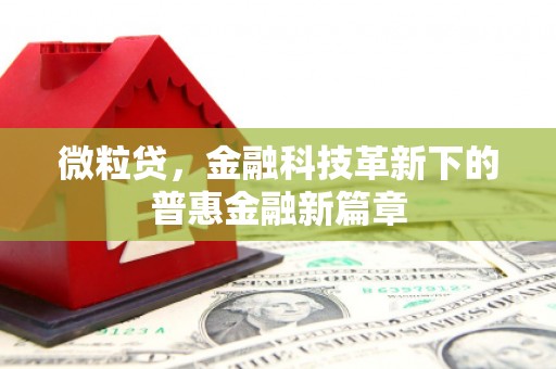 长洲微粒贷，金融科技革新下的普惠金融新篇章