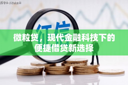 长洲微粒贷，现代金融科技下的便捷借贷新选择