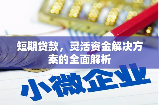 长洲短期贷款，灵活资金解决方案的全面解析