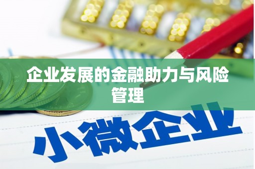 长洲企业发展的金融助力与风险管理