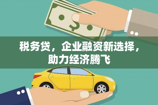 长洲税务贷，企业融资新选择，助力经济腾飞