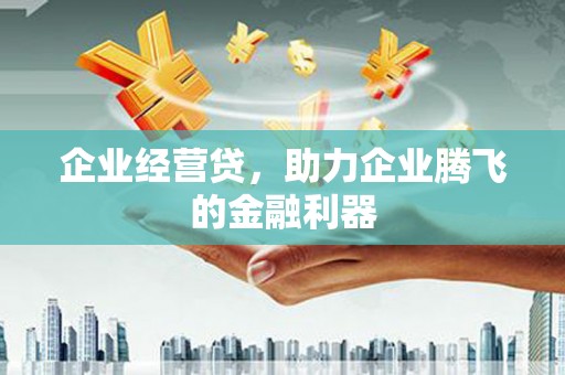 长洲企业经营贷，助力企业腾飞的金融利器