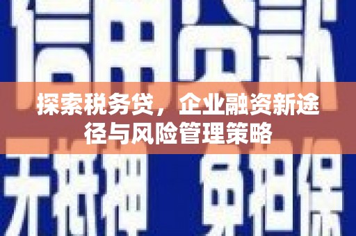长洲探索税务贷，企业融资新途径与风险管理策略