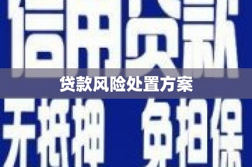 长洲贷款风险处置方案