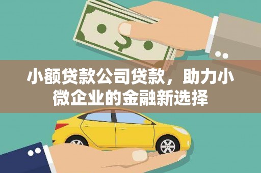 长洲小额贷款公司贷款，助力小微企业的金融新选择