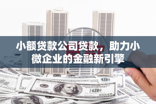 长洲小额贷款公司贷款，助力小微企业的金融新引擎