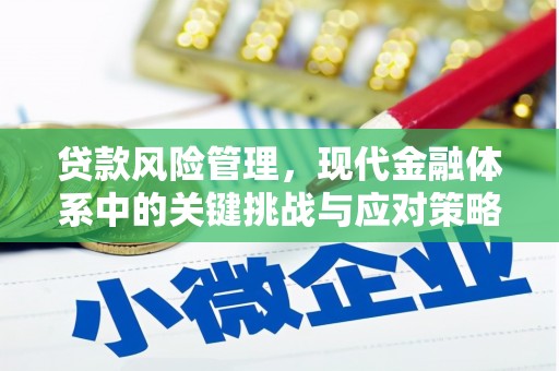 长洲贷款风险管理，现代金融体系中的关键挑战与应对策略