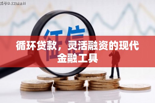 长洲循环贷款，灵活融资的现代金融工具