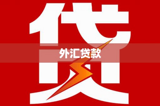 长洲外汇贷款