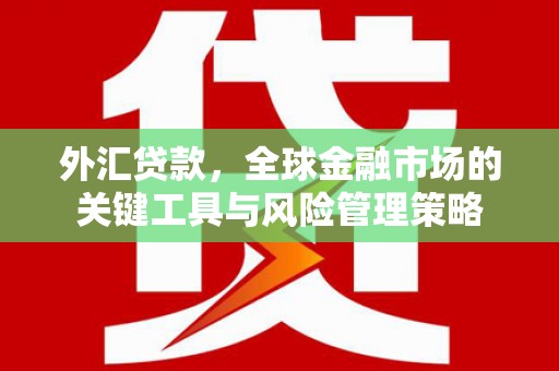 长洲外汇贷款，全球金融市场的关键工具与风险管理策略