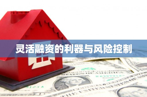 长洲灵活融资的利器与风险控制