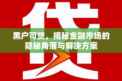 长洲黑户可贷，揭秘金融市场的隐秘角落与解决方案