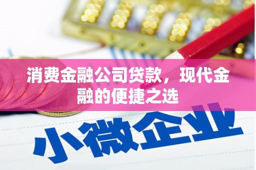 长洲消费金融公司贷款，现代金融的便捷之选
