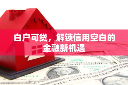 长洲白户可贷，解锁信用空白的金融新机遇