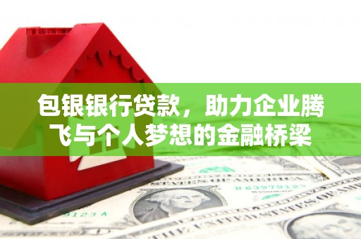 长洲包银银行贷款，助力企业腾飞与个人梦想的金融桥梁