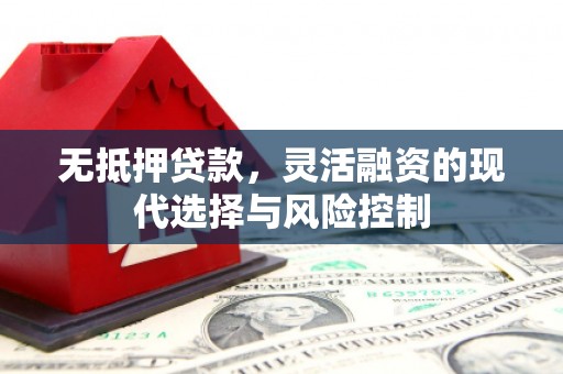 长洲无抵押贷款，灵活融资的现代选择与风险控制