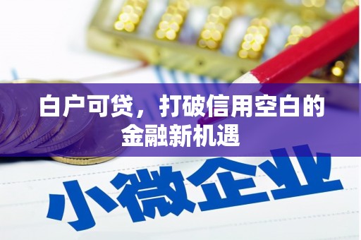 长洲白户可贷，打破信用空白的金融新机遇