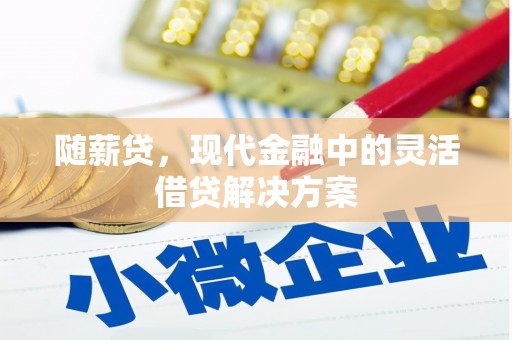 长洲随薪贷，现代金融中的灵活借贷解决方案
